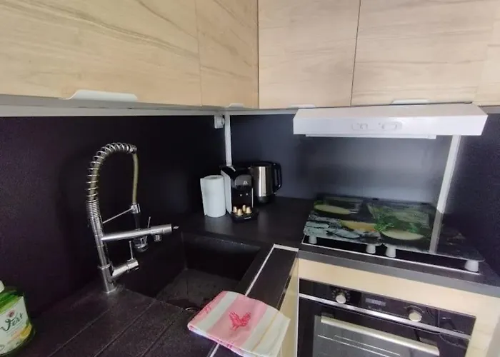 Apartamento Piscine Wifi Antibes