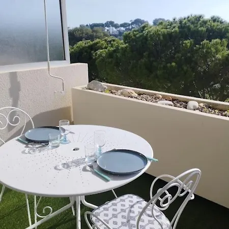 公寓 Piscine Wifi *