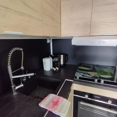 公寓 Piscine Wifi 昂蒂布